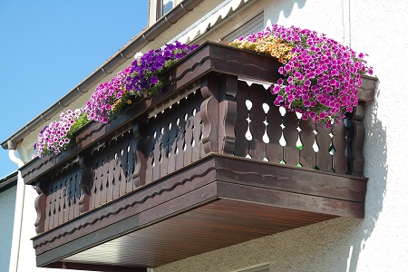 Jakie rośliny posadzić na balkonie
