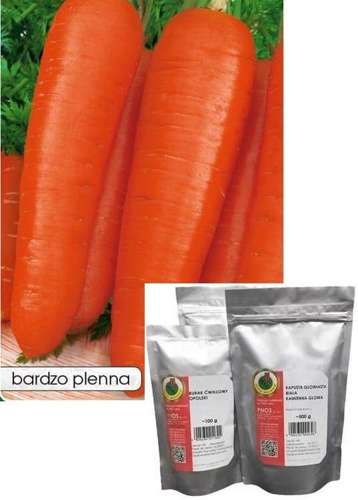 Edible carrot CORAL-KORAL OŻA 500g (Daucus carota)