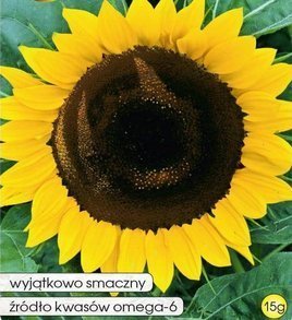 Edible garden sunflower 20g (Helianthus annuus)