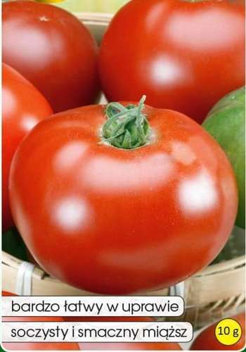 GIGANT Beefsteak Tomato 10g (Solanum lycopersicum L.)