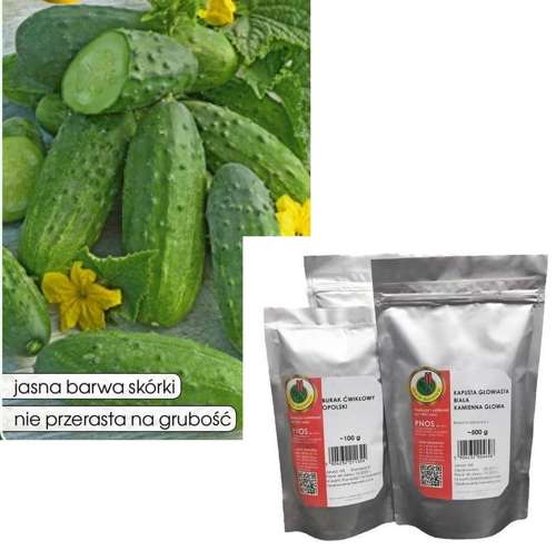 Ground cucumber PORTAL F1 100g (Cucumis sativus)