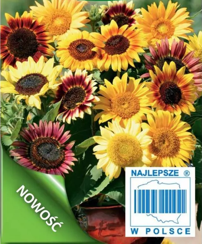 Medium-tall single sunflower for cut flower mix 3g (Helianthus annuus)