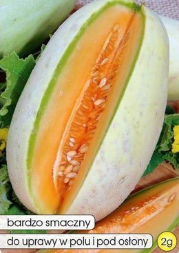 Melon MELBA 2g (Cucumis melo L.)