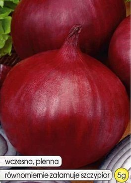 Onion KARMEN 5g (Allium cepa)