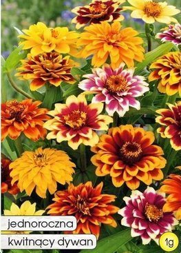 Persian Carpet Narrow-Leaved Zinnia Color Mix 1g (Zinnia angustifolia)