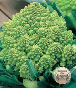 Romanesco Natalino Cauliflower 1g (Brassica oleracea convar. botrytis var.)