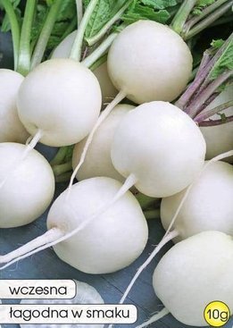 Snow White Radish 10g (Raphanus sativus var. sativus)