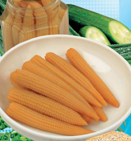 Sugar Corn MINIGOLD 5g (Zea mays var. saccharata)