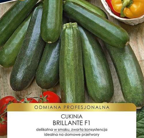 Zucchini Pumpkin BRILLANTE common hybrid F1 PROFI 15 seeds (Cucurbita pepo)