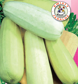 Zucchini Squash KVETA 3g (Cucurbita pepo var. Giromantina)