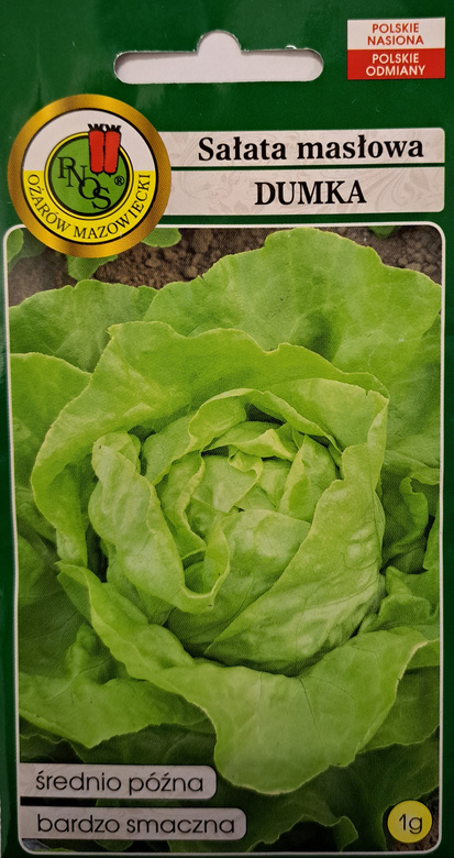 Butterhead lettuce DUMKA 1g (Lactuca sativa var.capitata)