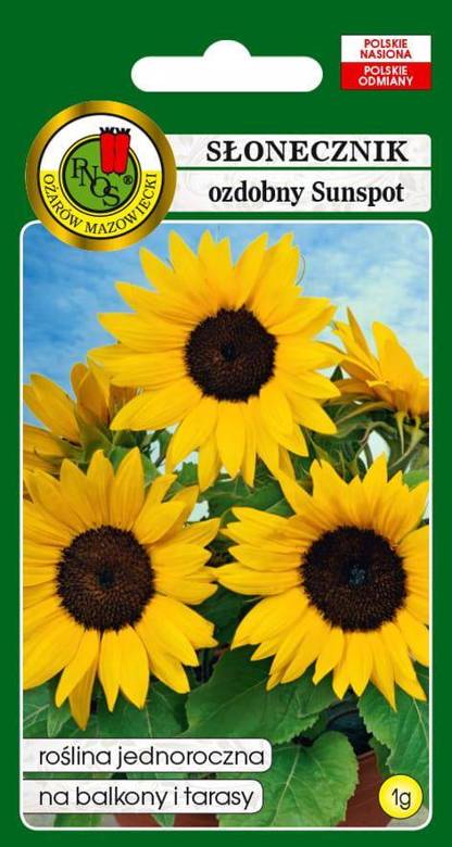 Decorative sunflower SUNSPOT low yellow 1g (Helianthus annuus)