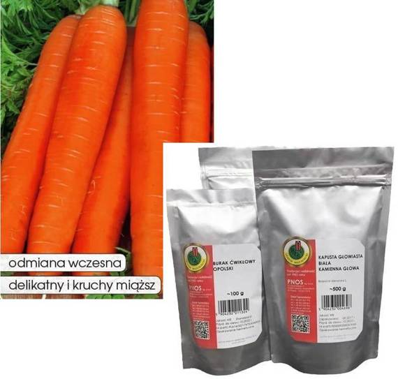 Edible carrot NANTES 3 50g (Daucus carota)