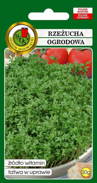 Garden cress 20g (Lepidium sativum)