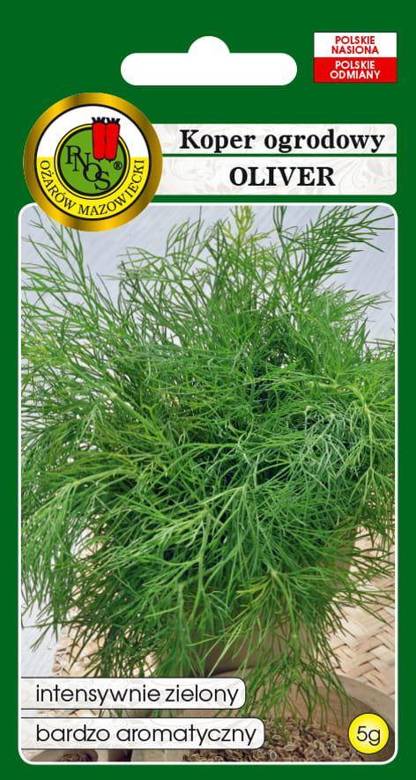 Garden dill OLIVER 5g (Anethum graveolens)