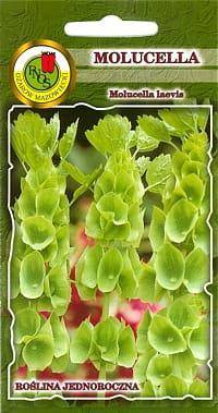 Green Irish Bellflower Seedlings 0.5g (Moluccella laevis)