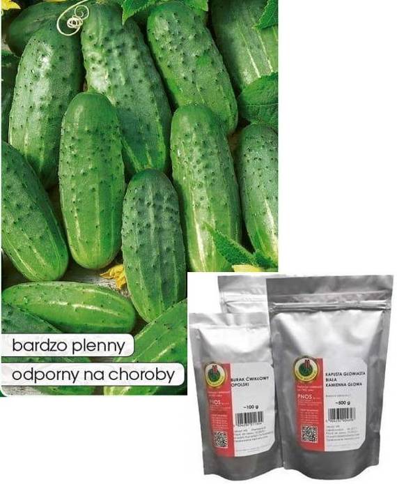 Ground cucumber SOPLICA F1 50g (Cucumis sativus)