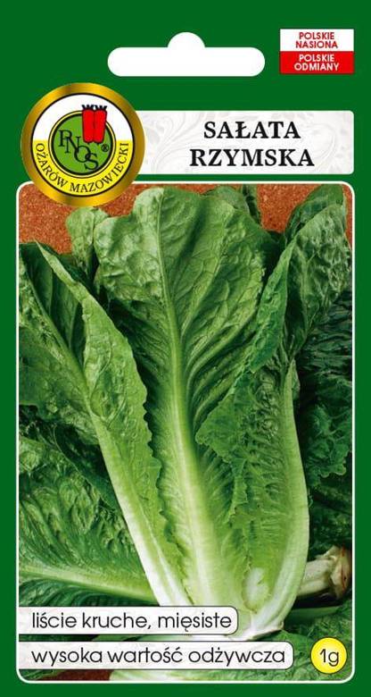 LENTISSIMA A MONTARE 3 1g romaine lettuce (Lactuca sativa var. capitata)