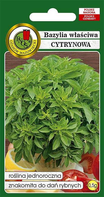 Lemon Basil (Ocimum basilicum citrodiora) 0.5g