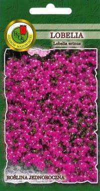 Lobelia ROSAMUNDA pink 0.2g (Lobelia erinus)