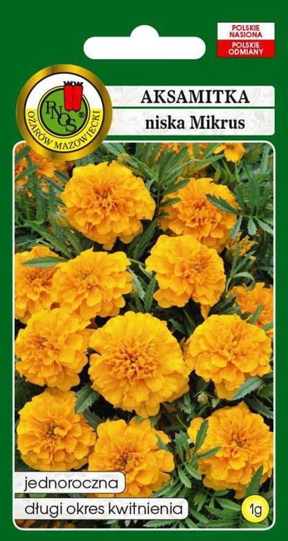 Low-growing MIKRUS orange marigold with full velvet flowers, 1g (Tagetes patula nana fl. pl.)