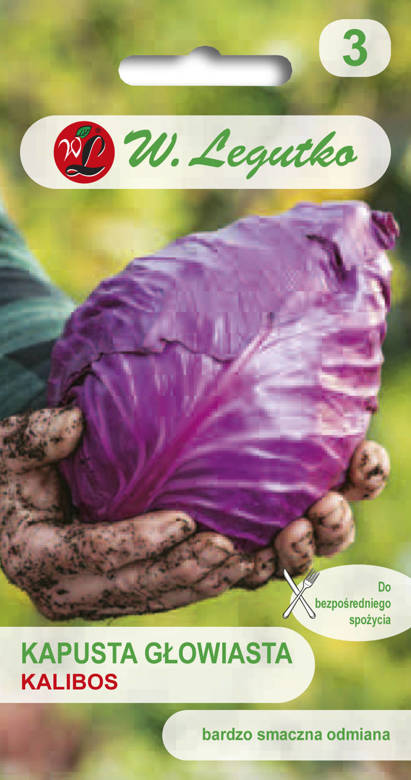 Red Conehead Cabbage KALIBOS 0.5g (Brassica oleracea convar. capitata var. Rrubra)