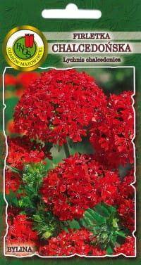 Scarlet Lychnis (Lychnis chalcedonica) 1g