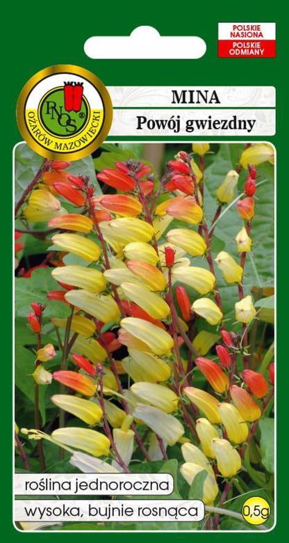 Scarlet-yellow Mina 0.5g (Mina lobata)