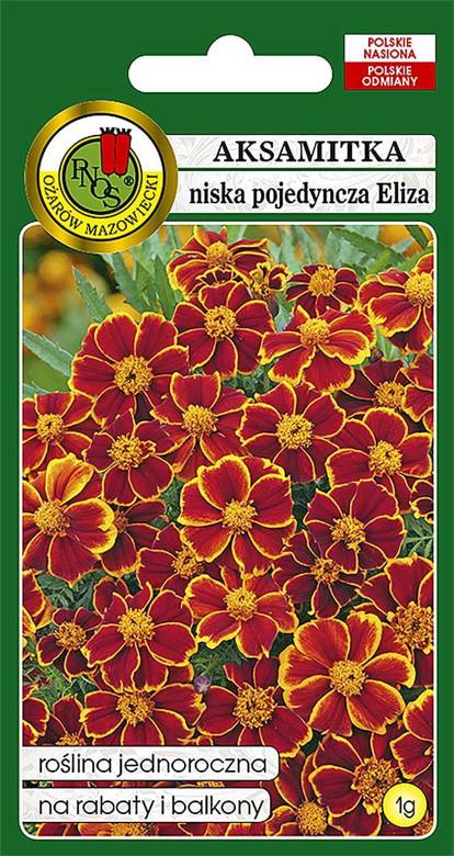 Single French Marigold ELIZA Peach-Crimson 1g (Tagetes patula nana)