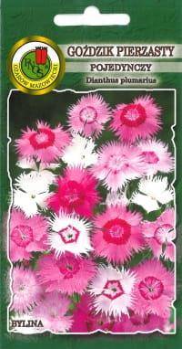 Single Mixed Feathered Carnation 0.5g (Dianthus plumarius)