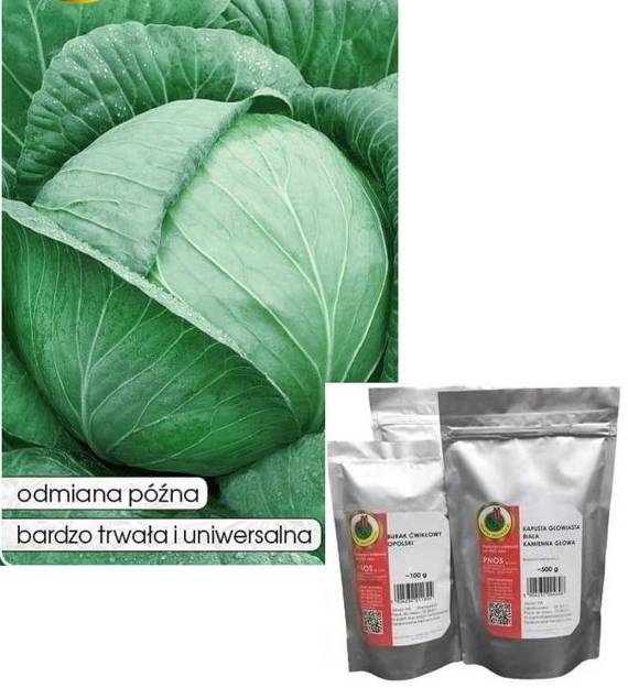 White cabbage KAMIENNA GŁOWA - KAMIENNA GŁOWA OZJ 50g (Brassica oleracea var. capitata alba)