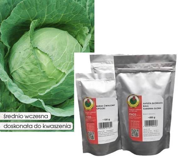 White cabbage ROEM VAN ENKHUIZEN 2 50g (Brassica oleracea var. capitata alba)