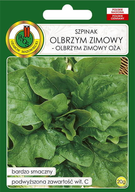 Winter Giant Spinach - Winter Giant Spinach OŻA 20g (Spinacia oleracea)