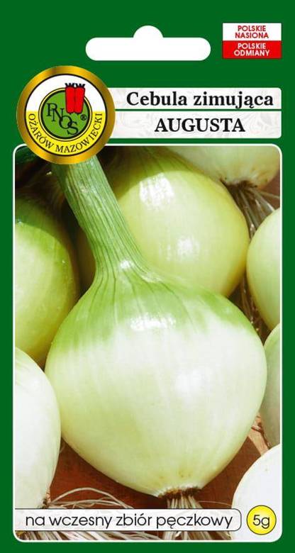Winter onion AUGUSTA 5g (Allium cepa)