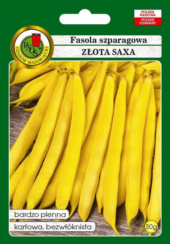 Yellow dwarf asparagus bean GOLDEN SAXA 30g (Phaseolus vulgaris)