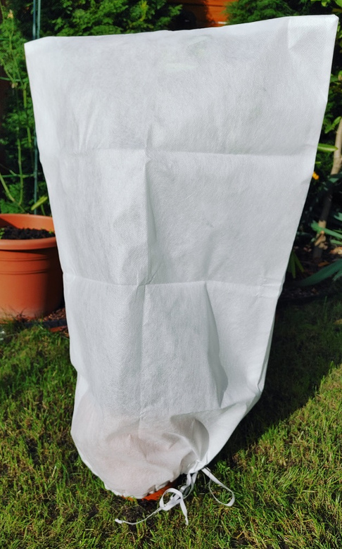 Protective hood with white securing string.