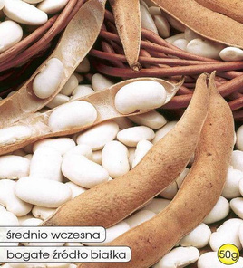 Dry bean seeds vs. 50g (Phaseolus coccineus L.)