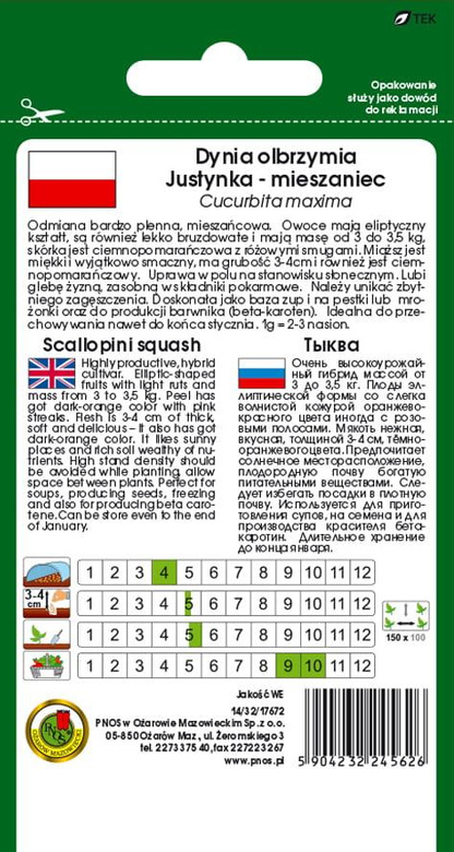 Giant pumpkin JUSTYNKA F1 2g (Cucurbita maxima)