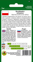 Radish JUTRZENKA 10g (Raphanus sativus var. sativus)