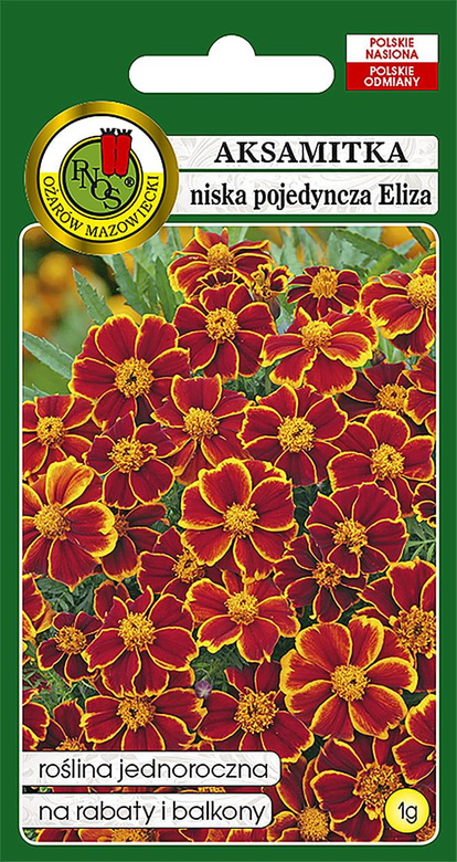 Aksamitka pojedyncza ELIZA brzoskwiniowo-karmazynowa 1g (Tagetes patula nana)