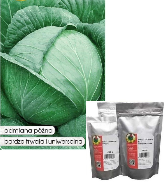 Kapusta głowiasta biała KAMIENNA GŁOWA - KAMIENNA GŁOWA OZJ 50g (Brassica oleracea var. capitata alba)