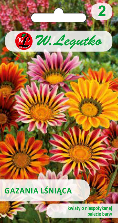 Gazania lśniąca mix 0,3g (Gazania splendens)