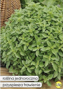 Basil FINE VERDE 0.5g (Ocimum basilicum)