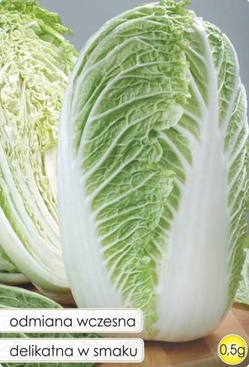 Kapusta pekińska FORCO F1 0,5g (Brassica rapa)