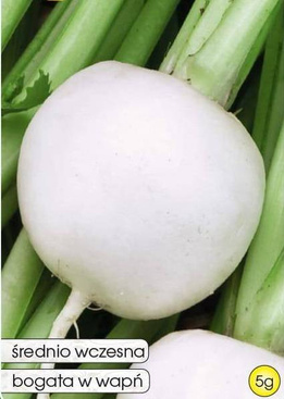 Turnip SNOWBALL 5g (Brassica rapa)