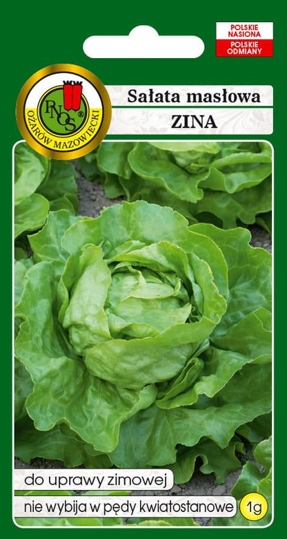 Winter Butterhead Lettuce ZINA 1g (Lactuca sativa var. capitata)