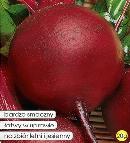 Burak ćwikłowy CZERWONA KULA 2 - CZERWONA KULA REW 20g  (Beta vulgaris)
