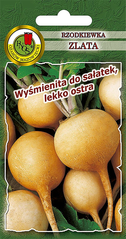 Rzodkiewka ZLATA 10g (Raphanus sativus var. sativus)