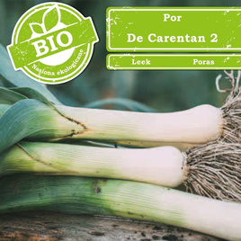 Por DE CARENTAN 2 0,5g (Allium porrum)