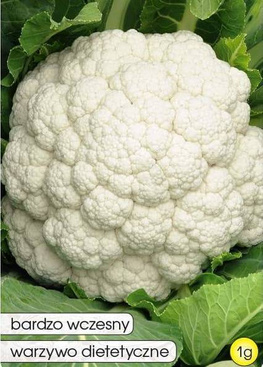 Cauliflower BETA 1g (Brassica oleracea convar. botrytis)